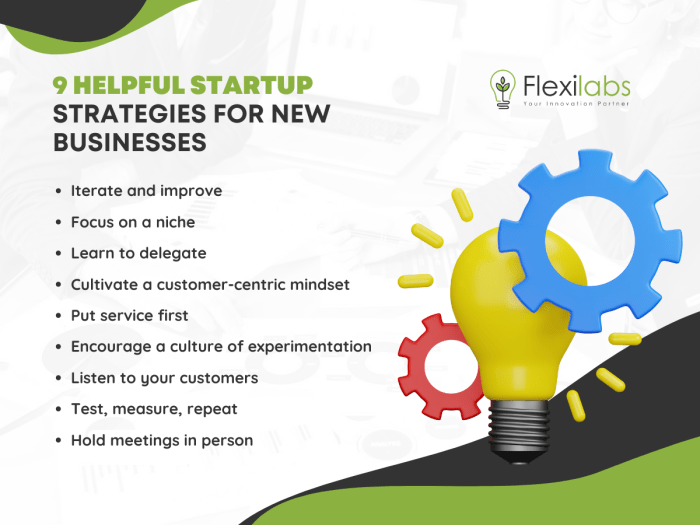 Startup Strategies Every New Business Can Embrace - Flexilabs Startup Strategies Every New Business Can Embrace - Flexilabs