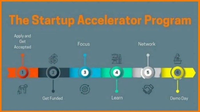 What Is A Startup Accelerator — NEXEA